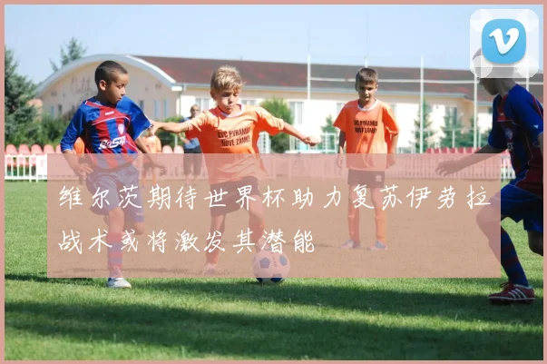 维尔茨期待世界杯助力复苏伊劳拉战术或将激发其潜能
